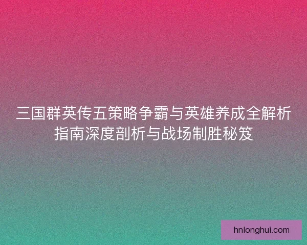 三国群英传五策略争霸与英雄养成全解析指南深度剖析与战场制胜秘笈
